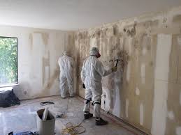 Best Mold Removal for HVAC Installations  in Alpine, TX